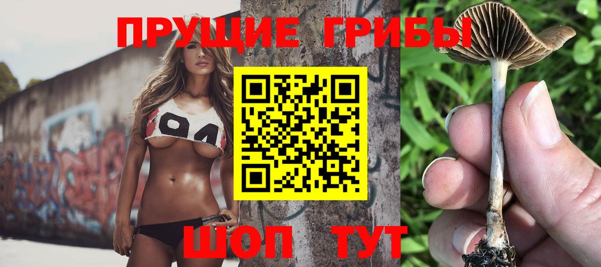 Галлюциногенные грибы Cubensis Крымск