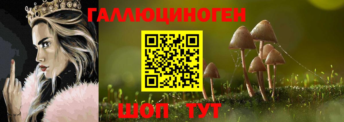 Псилоцибиновые грибы MAGIC MUSHROOMS  Галлюциногенные грибы GOLDEN TEACHER  Крымск  Вход с VPN 